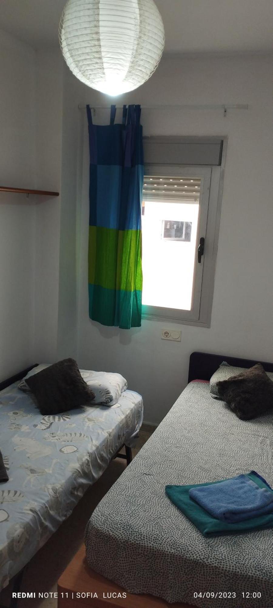 Disfruta Granada,incluso con tu mascota Parking Apartment Bagian luar foto
