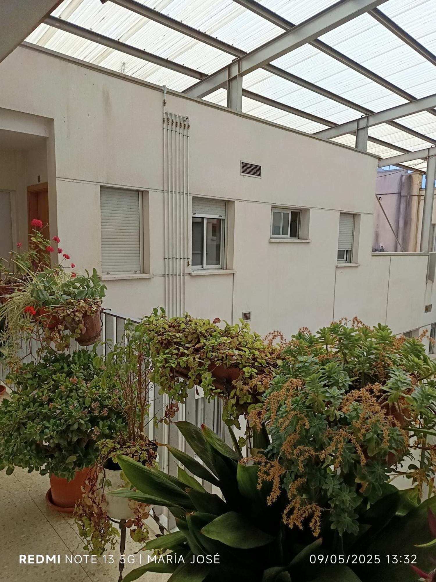 Disfruta Granada,incluso con tu mascota Parking Apartment Bagian luar foto